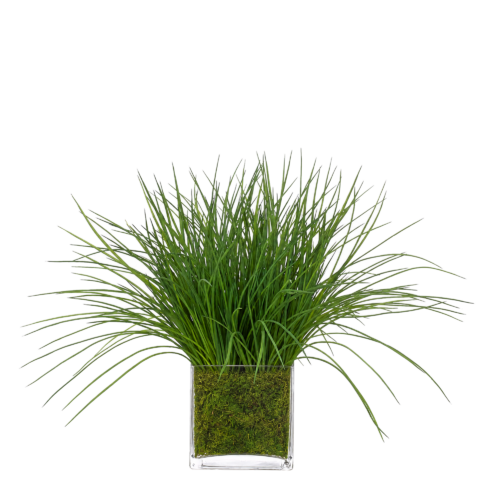 Grass, Green, Moss Glass Cube, 26wx26dx18h