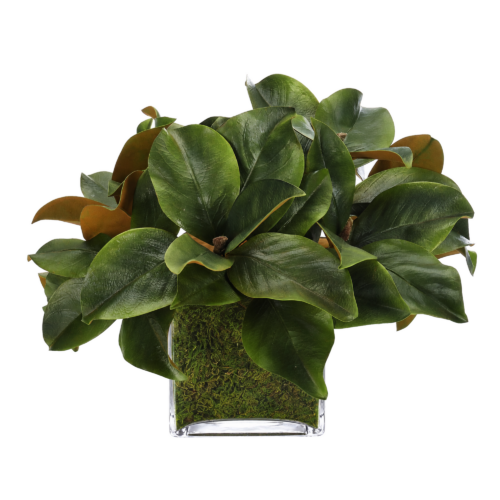 Magnolia Foliage, Faux Moss Garden, 13"