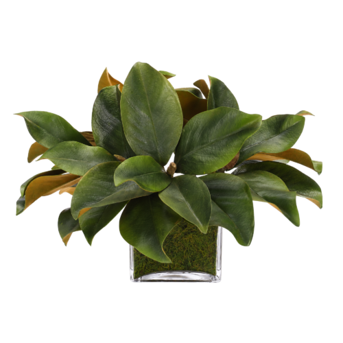 Magnolia Foliage, Faux Moss Garden, 12"