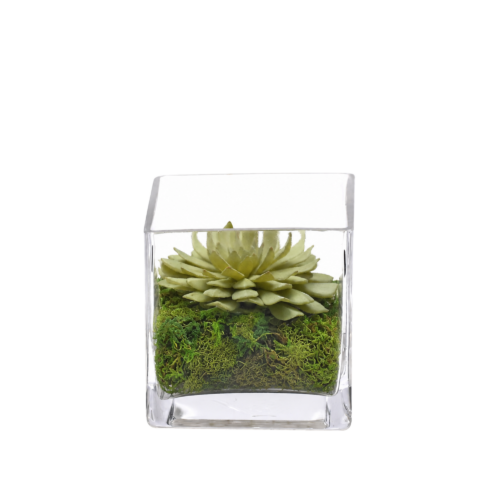 Succulent, Green, Moss Glass Cube/2, 4.75wx4.75dx4.75h