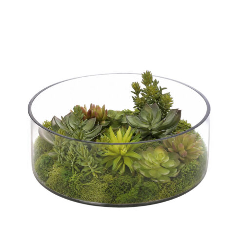 Succulent, Faux Moss Garden, 6"