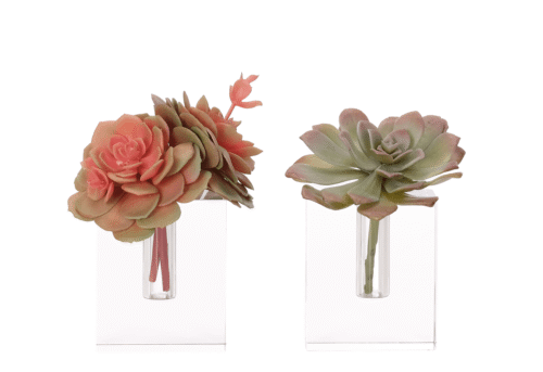 Succulent, Set of 2, Drop In, Faux, 8"