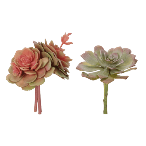 Succulent, Set of 2, Faux Arrangement, 6.5"