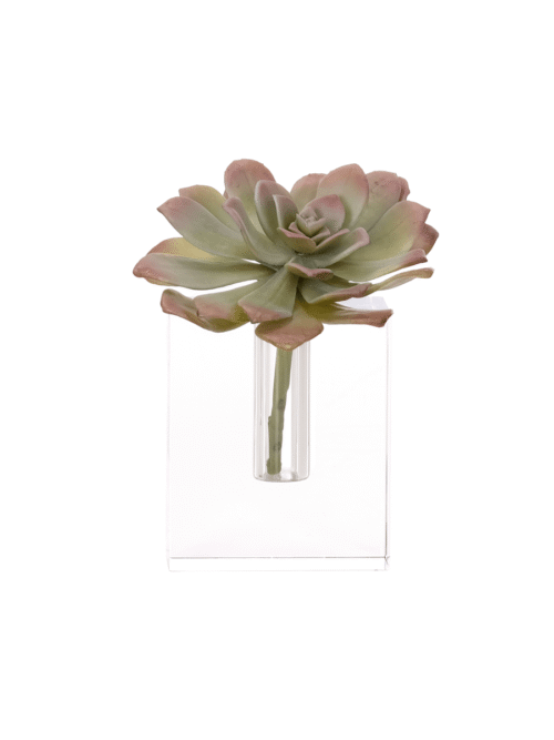 Succulent, Drop In, Faux, 7"