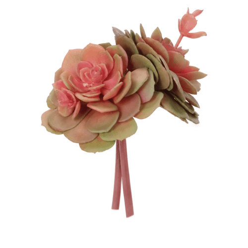 Succulent, Drop In, Faux, 6.5"
