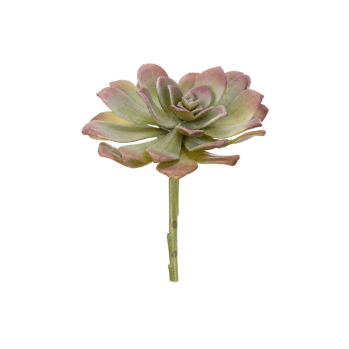 Succulent, Drop In, Faux, 6"