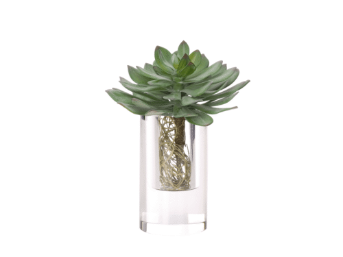 Succulent, Drop In, Faux, 13"