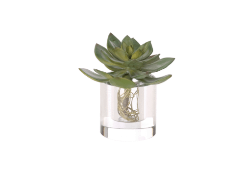 Succulent, Drop In, Faux, 6"