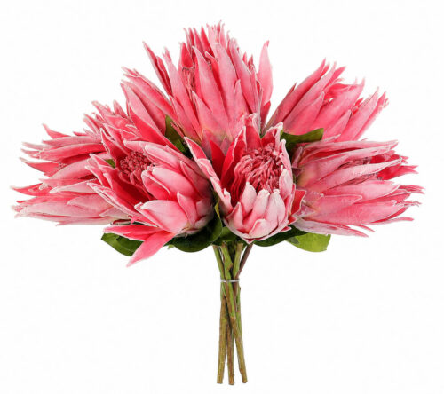 Protea, Drop In, Faux, 17"