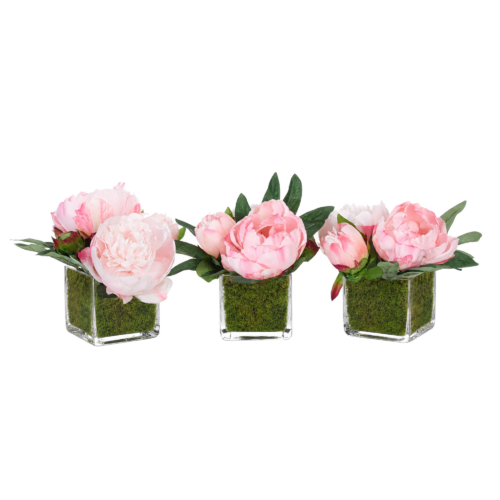 Peony, Set of 3, Faux Moss Garden, 6"