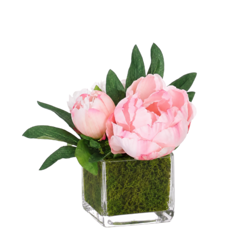 Peony, Faux Moss Garden, 6"