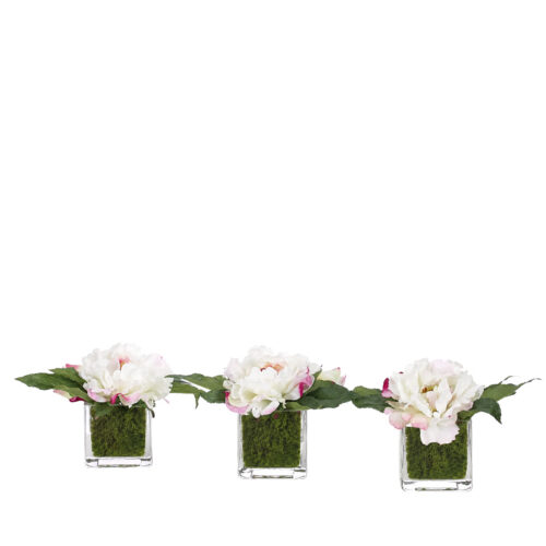 Peony, Set of 3, Faux Moss Garden, 5"