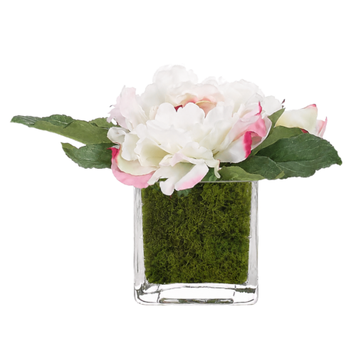 Peony, Faux Moss Garden, 5"