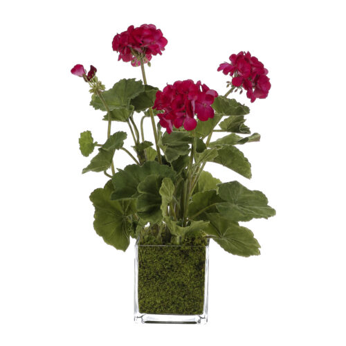Geranium, Faux Moss Garden, 17"