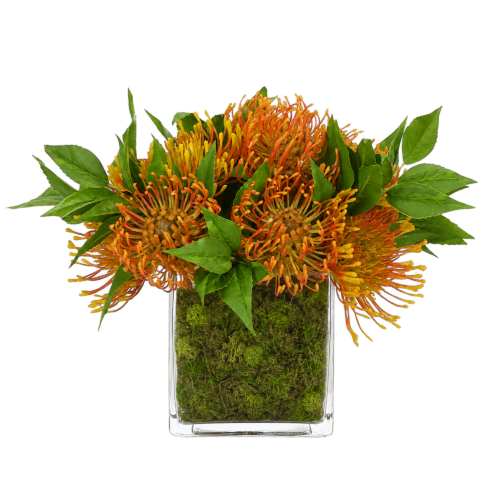 Protea, Faux Moss Garden, 9"