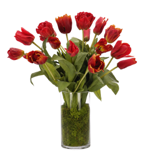 Tulip, Red, Moss Glass Cylinder, 26wx27dx26h