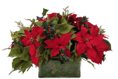 Poinsettia, Faux Moss Garden, 20"