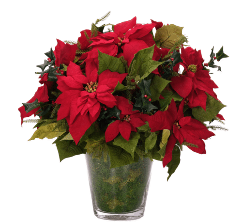 Poinsettia, Faux Moss Garden, 25"