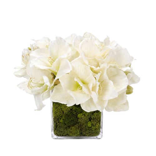 Amaryllis, Faux Moss Garden, 12"