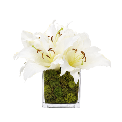 Lily, Faux Moss Garden, 10"