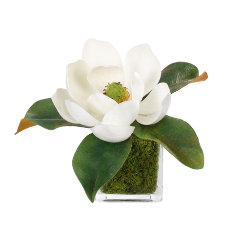 Magnolia, Set of 2, Faux Moss Garden, 7"
