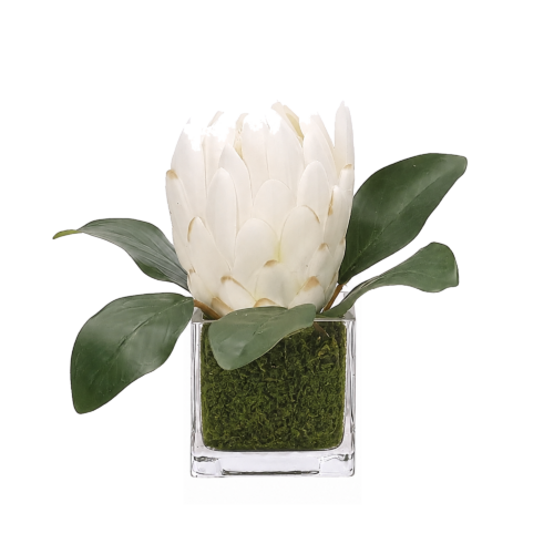 Protea, Faux Moss Garden, 6"