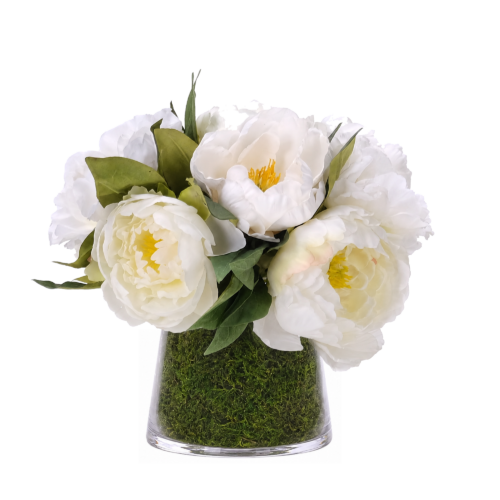 Peony, Faux Moss Garden, 10"