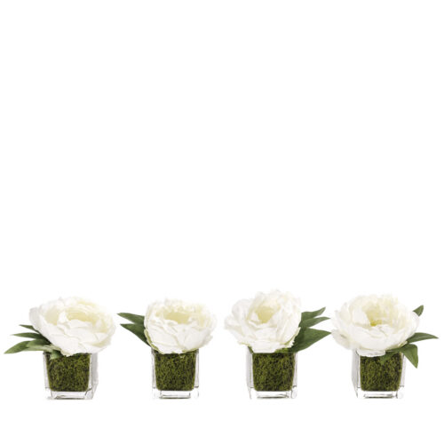 Peony, Set of 4, Faux Moss Garden, 5"