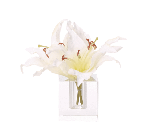 Casablanca Lily, Faux Moss Garden, 9"