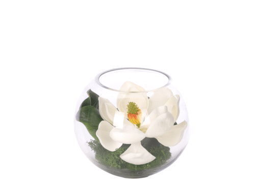 Magnolia, Faux Moss Garden, 8"
