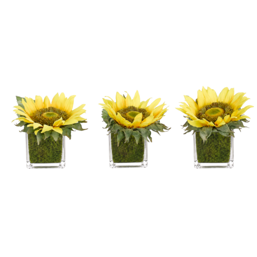 Sunflower, Set of 3, Faux Moss Garden, 5"