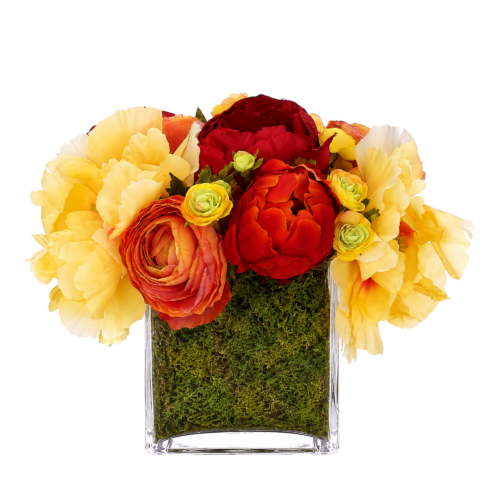 Peony Ranunculus, Yellow Orange, Moss Glass Cube, 10wx9dx8h