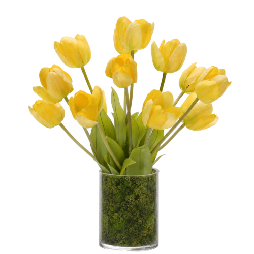 Tulip, Faux Moss Garden, 17"