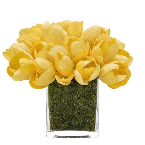 Tulip, Yellow, Moss Glass Cube, 11wx11dx8h