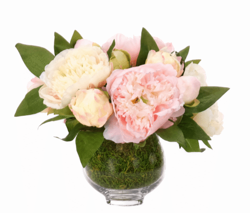 Peony, Faux Moss Garden, 9"