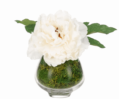 White Real Touch Peony Silk Arrangement