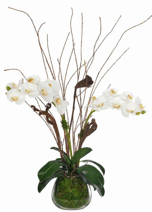 White Orchid Phalaenopsis Silk Arrangement in Glass Vase, 33" H