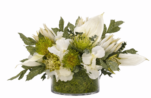 Protea, Anthurium, Faux Moss Garden, 22"